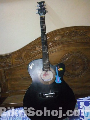 acoustic signature guitar